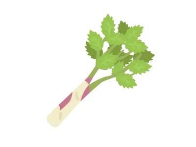 山菜のウドのイラスト