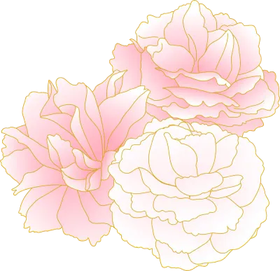 Spring flowers and plants, clumps of pink-gradient double-flowered cherry 'peony cherry'