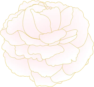 Spring flowers and plants, pink gradient double-flowered cherry 'peony cherry'