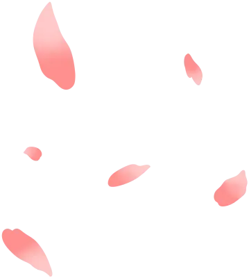 흩날리는 벚꽃잎