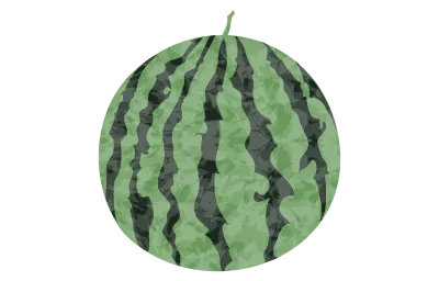 Watermelon whole, transparent watercolor style