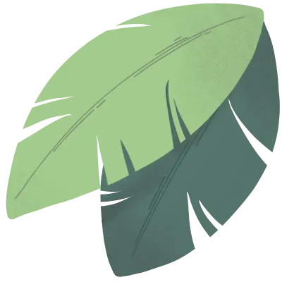 텍스쳐가 있는 정글 큰 나뭇잎, 정글탐험 및 숲체험 꾸미기