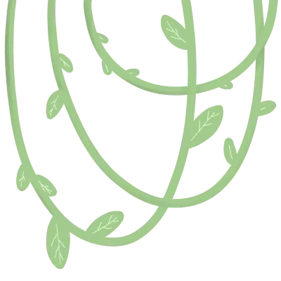 텍스쳐가 들어간 덩쿨, 숲체험, 현장학습 및 정글 덩굴식물