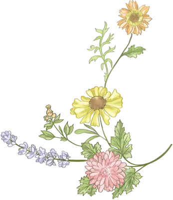 여성스러운 꽃 일러스트