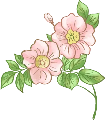 여성스러운 꽃 일러스트