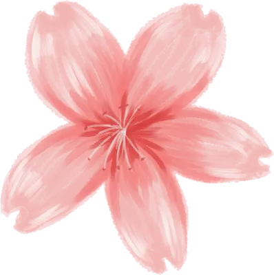 벚꽃 수채화 이미지