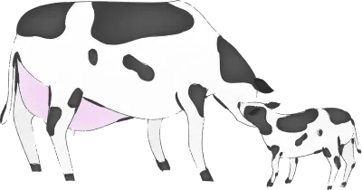 New Year's card material 2021 year of the ox brush-drawn cow illustration