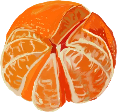 과일모음.fruits.(오렌지,아보카도,토마토,귤,레몬,블루베리)