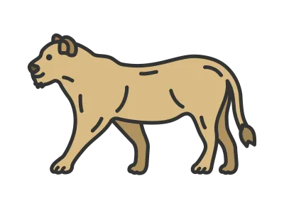 メスライオンのイラスト