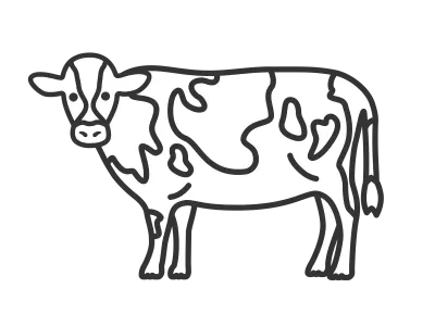 ホルスタイン牛のイラスト