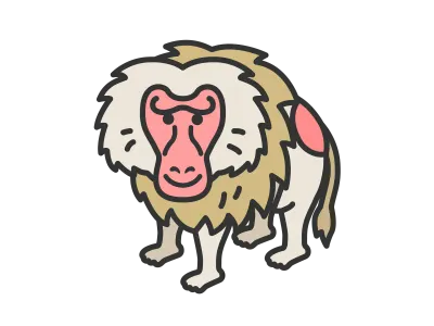 マントヒヒのイラスト