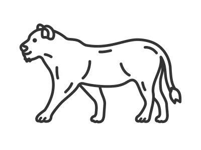 メスライオンのイラスト