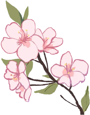 벚꽃 일러스트