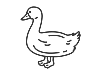 アヒルのイラスト