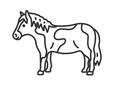 ポニーのイラスト