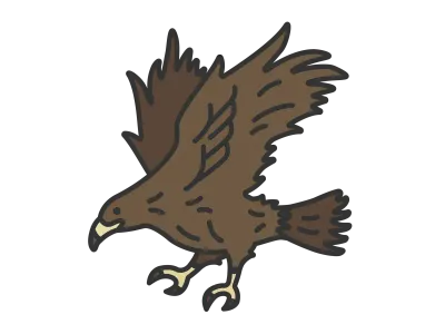 鷹のイラスト