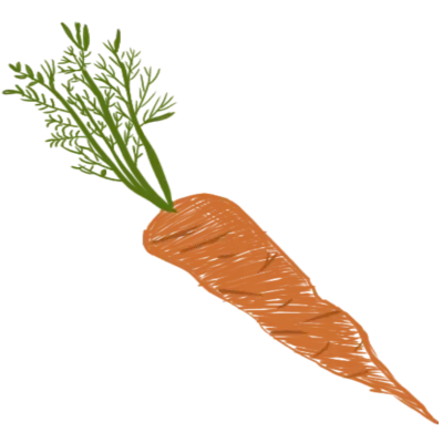 당근,당근일러스트,주황당근