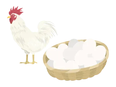 鶏と生卵のイラスト