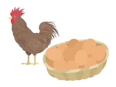 鶏と生卵のイラスト