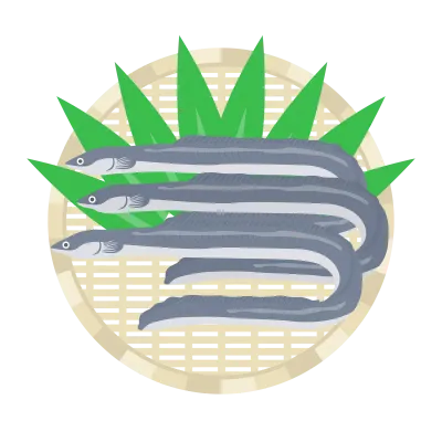 ザルにのせた鰻のイラスト