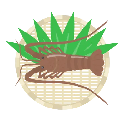 ザルにのせた伊勢海老のイラスト