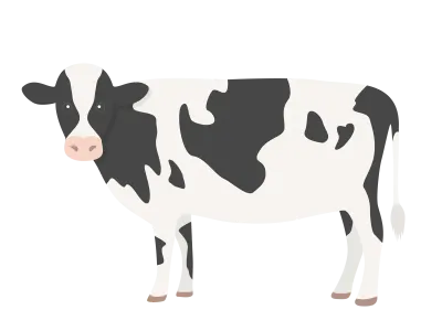 ホルスタイン牛のイラスト