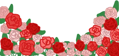장미 테두리