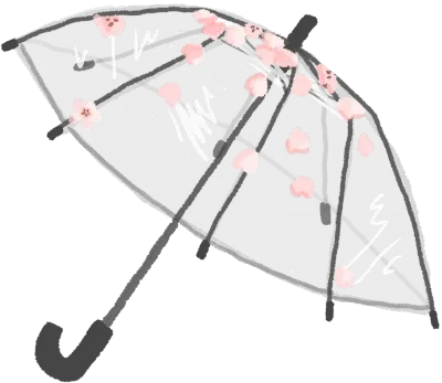 벚꽃 우산