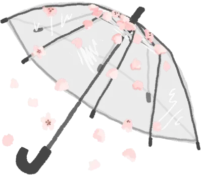 벚꽃 우산