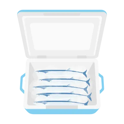 クーラーボックスに入った秋刀魚のイラスト