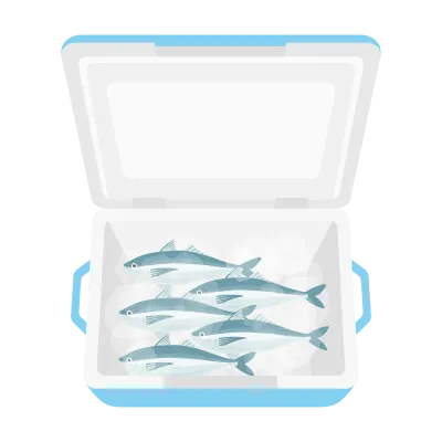 クーラーボックスに入った鯵のイラスト