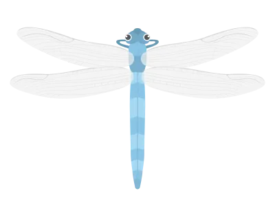 シオカラトンボのイラスト