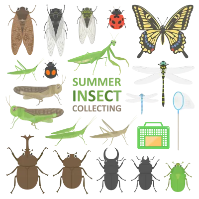 夏の昆虫のイラストセット
