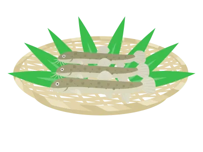 ザルにのせたドジョウのイラスト