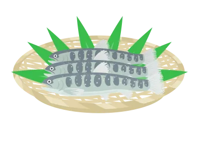 ザルにのせたイワナのイラスト