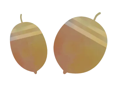 ドングリの水彩イラスト