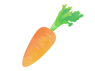 人参の水彩イラスト