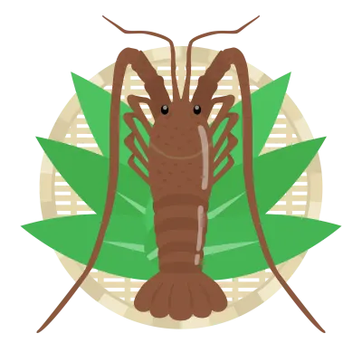 ザルにのせた伊勢海老のイラスト