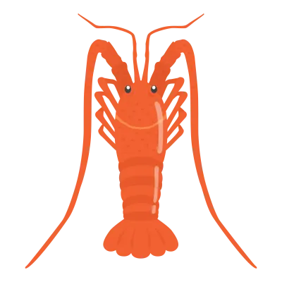 伊勢海老のイラスト