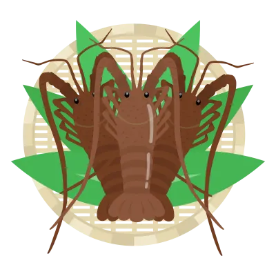 ザルにのせた伊勢海老のイラスト