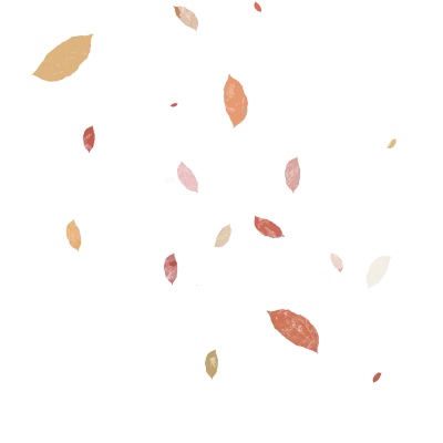 흩날리는, 나뭇잎, 꽃잎