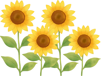 해바라기 꽃 수채화 일러스트