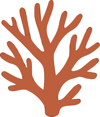 해양생물,바다생물,물고기,어류,갑각류,게,오징어,해파리,조개,소라,산호,해마,복어,수중생물,바다동물,수산물일러스트,바다일러스트,자연소재,감성해양,귀여운바다fish