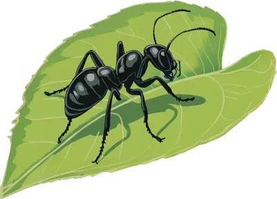 멋진 개미 일러스트