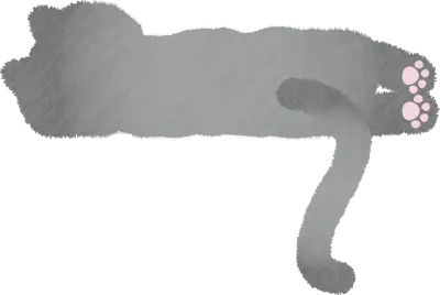 뒤로 자는 회색 고양이