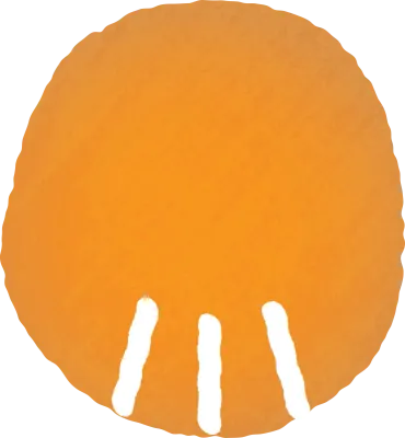 회색 고양이 손