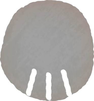 회색 고양이 손