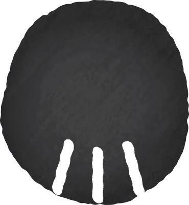 검은 고양이 손