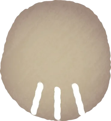 갈색 고양이 손