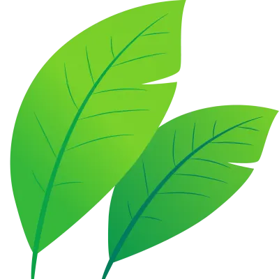 여름 트로피컬 나뭇잎